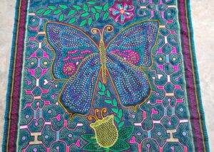 Butterfly Transformation